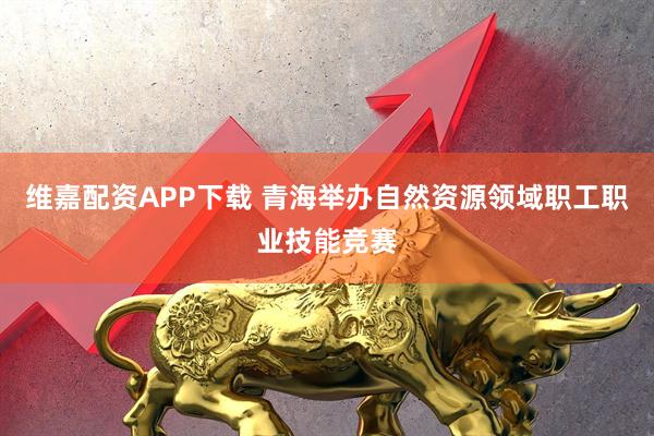 维嘉配资APP下载 青海举办自然资源领域职工职业技能竞赛