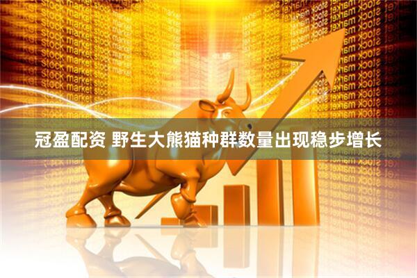 冠盈配资 野生大熊猫种群数量出现稳步增长