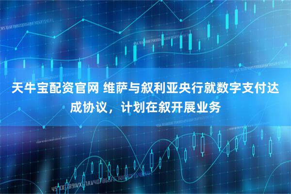 天牛宝配资官网 维萨与叙利亚央行就数字支付达成协议，计划在叙开展业务