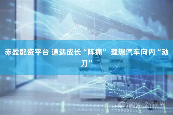 赤盈配资平台 遭遇成长“阵痛” 理想汽车向内“动刀”