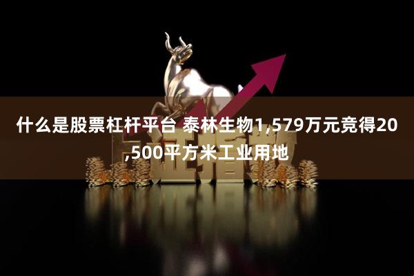 什么是股票杠杆平台 泰林生物1,579万元竞得20,500平方米工业用地
